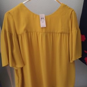Anne Taylor blouse